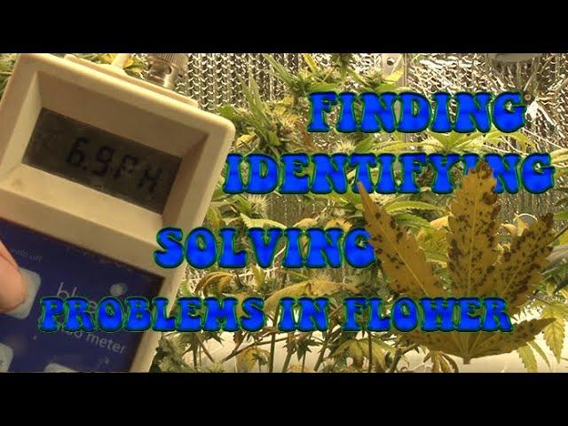 Finding Identifying and Solving Flower Problems.