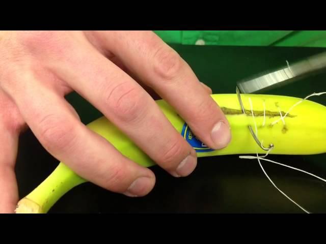 Continuous Sutures