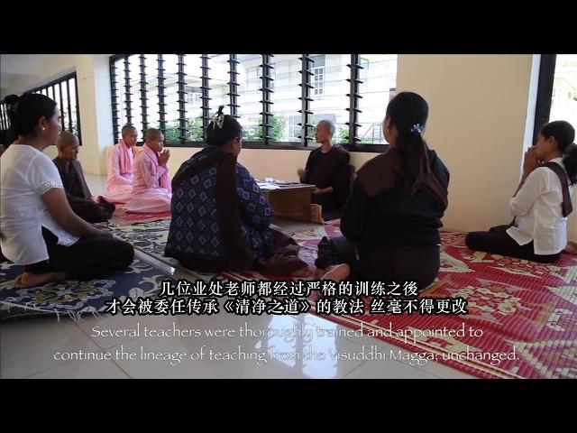 上座部佛教《帕奥禪師與止觀禪修》（中文字幕）