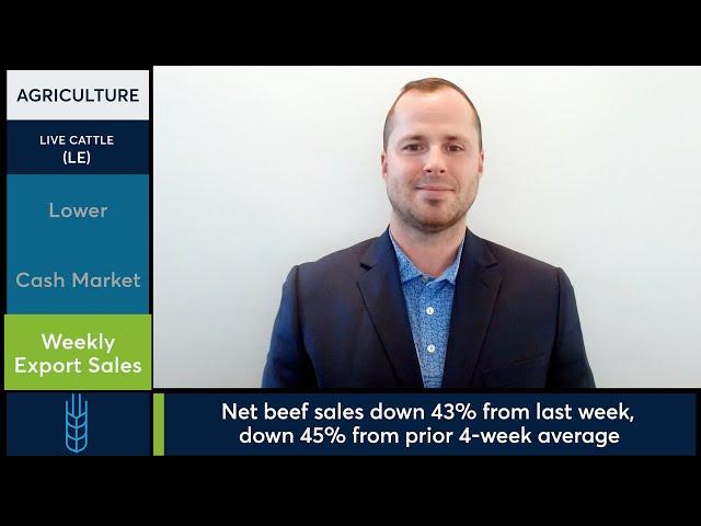 Dec. Live Cattle futures sink on weak boxed beef prices, disappointing export sales. 11/8/24