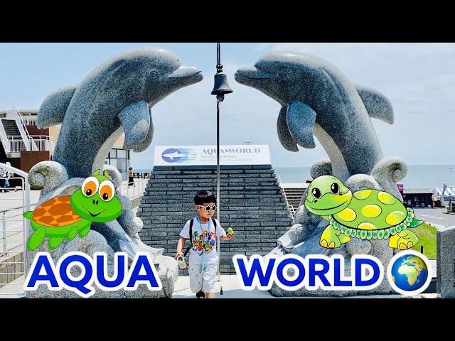 Aqua World Ibaraki Aquarium | Vlog #29 | Part 2 | Sacho Terazaki