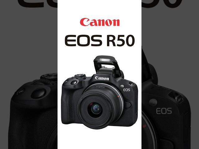 Best Budget Beginner Camera in 2024?