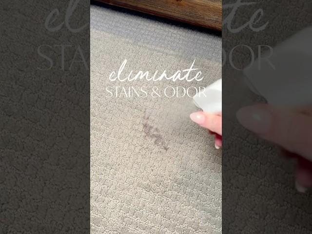 Eliminate stains and odors! #cleaningtips #cleaning #reallifehacks