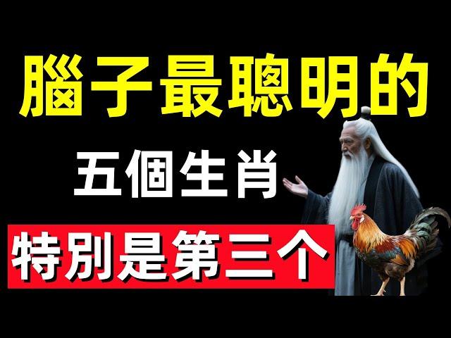 腦子最聰明的五個生肖，特別是第三个，正財橫財都能發大財！#修行思維 #修行 #福報 #禪 #道德經 #覺醒 #開悟 #禅修