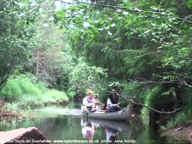 Canoe Tours on Svartalven - www.naturetravels.co.uk