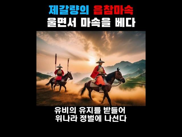 제갈량의 읍참마속이 주는 교훈 #삼국지