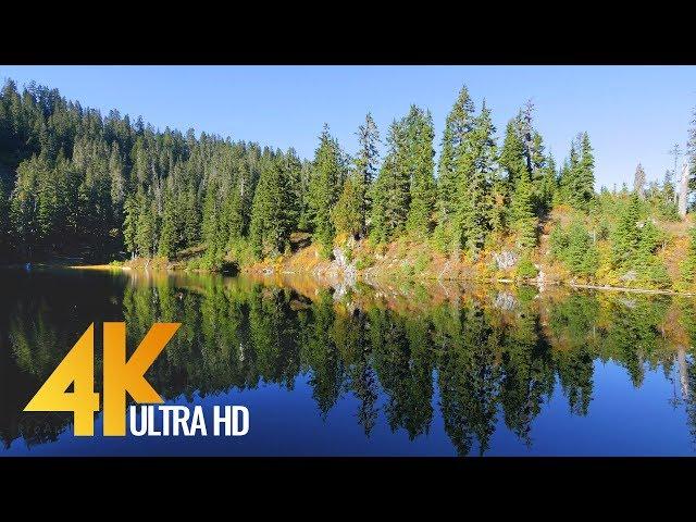 4K Fascinating Forest Lake - Autumn Forest - Relaxing Nature Video