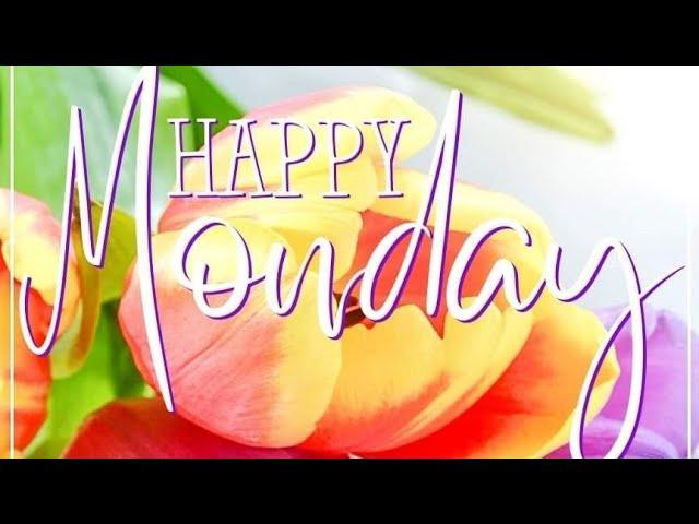 Good morning monday photos status  !! best good morning flowers images