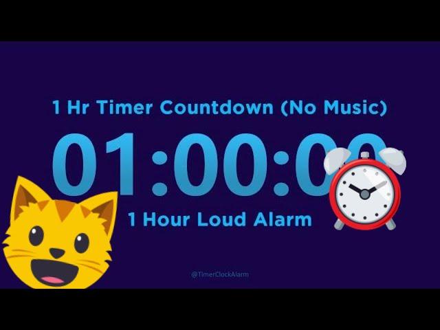 1 Hour Timer Countdown (No Music) + 1 Hour Loud Alarm