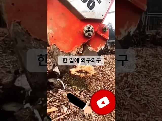 뿌리까지 삼키는 괴물