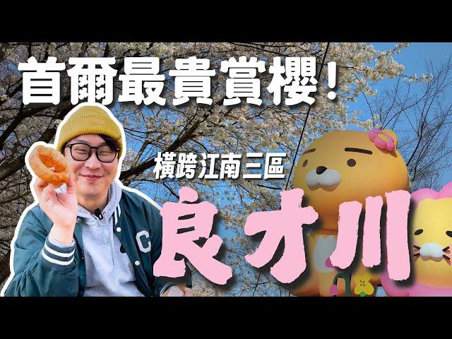 羨慕嫉妒的韓國生活首爾最貴賞櫻橫跨江南三區「良才川」【韓國賞櫻】| 胃公子 | 胃酸人生活