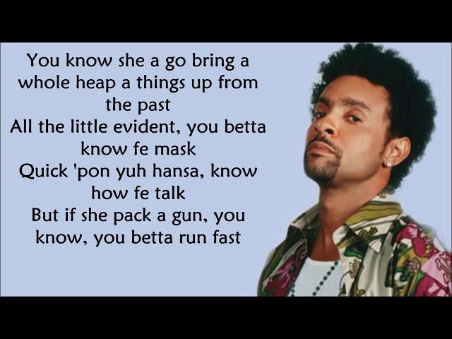 Shaggy - It wasn't me LYRICS ||Ohnonie (HQ)