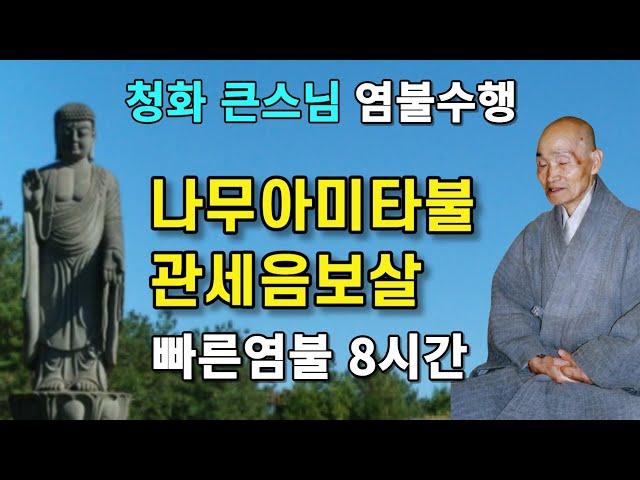 나무아미타불 관세음보살 빠른염불 8시간 청화큰스님 염불 천도법문기도 | 청화스님 염불수행