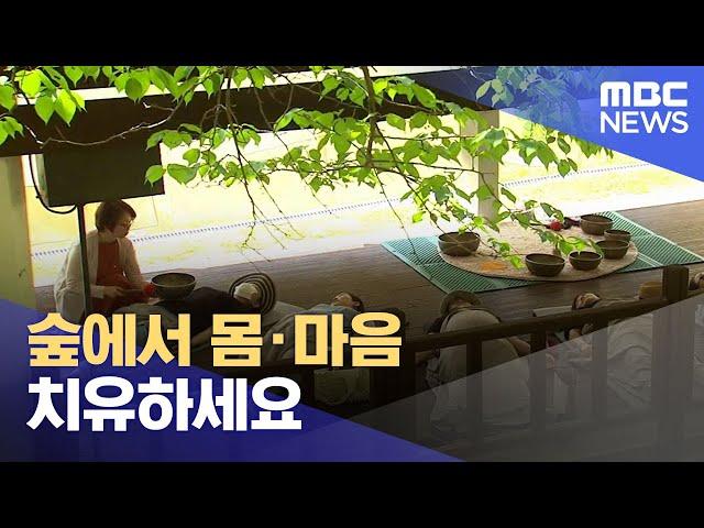 숲에서 몸·마음 치유하세요 (2023.06.04/뉴스투데이/대전MBC)