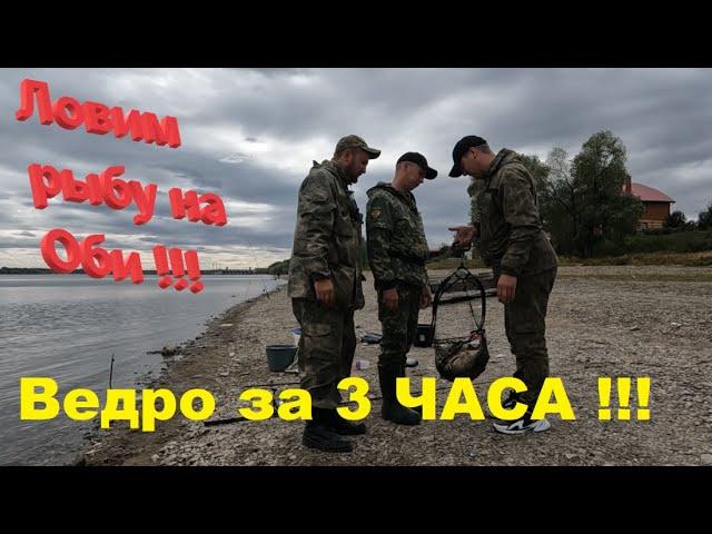 Речная рыбалка. Река Обь радует!!!!! Рыбалка на фидер! ! Fishing on the feeder!