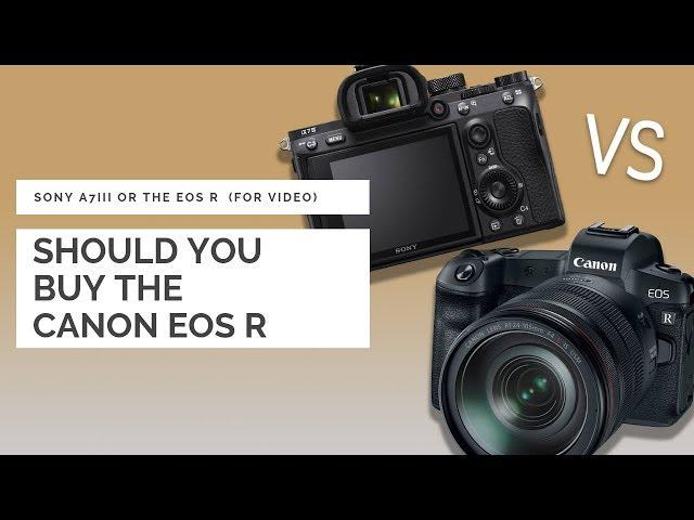 Canon EOS R vs Sony A7III | Which should you buy? | ThatModernDude