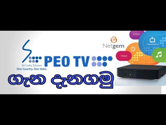 PEO TV User Review