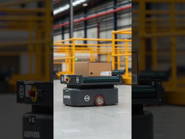 Warehouse Wonders: Robots Taking Warehouse Automation To The Next Level!