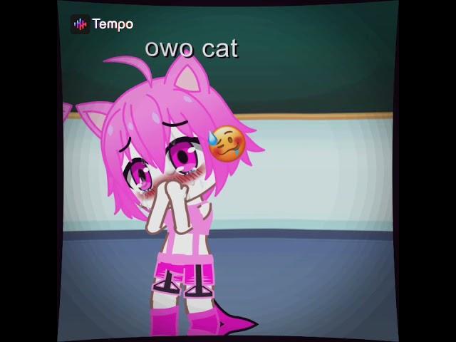 ): love owo cat 