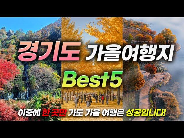 여기가 우리나라 맞다고?ㅣ안 가면 후회한다는 경기도 가을 여행지 BEST5(+함께 가볼만한곳까지!)