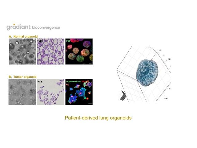 [KOREA LIFE SCIENCE 2022]