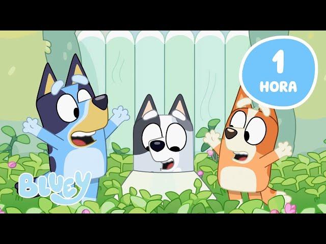 AO VIVO: Aventuras de Primavera com Bluey   | Melhores Momentos de Bluey | Bluey