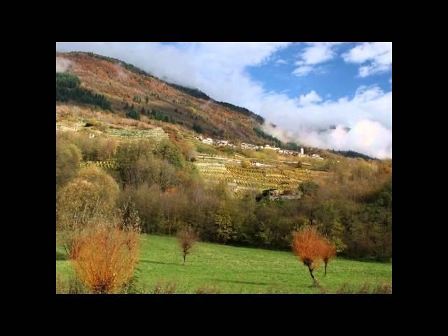 Suoni della natura - Canto di uccelli - 1