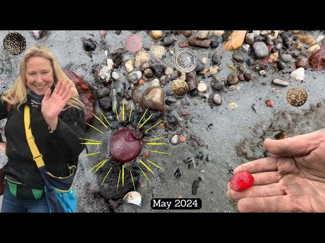 Return to Treasure Beach - Low Tide reveals Strange & Unexpected Finds That Make me Smile (May 2024)