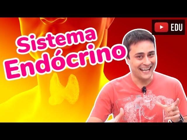 Sistema Endócrino - Hormônios - Prof. Paulo Jubilut