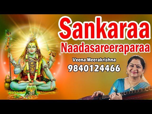 Sankaraa Naadasareeraparaa | శంకరా నాదశరీరాపరా | சங்கரா- film Instrumental by Veena Meerakrishna