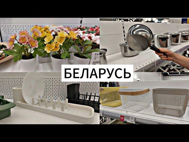 БЕЛАРУСЬ | ВПЕРВЫЕ В ЭТОМ МАГАЗИНЕ ИКЕА  | ЗАБЕЖАЛИ В SINSAY