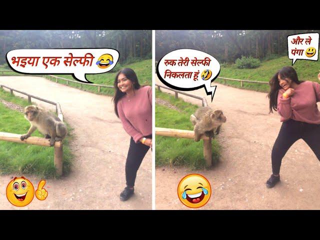 और लो इन बदमाश बंदरों से पंगा  । funny animals videos 2023 । #mrboxinfo