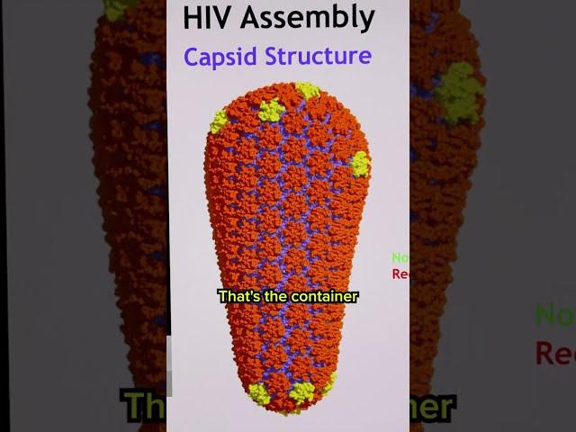 This Breakthrough HIV Drug Changes Everything #medicine #information #health #uofuhealth