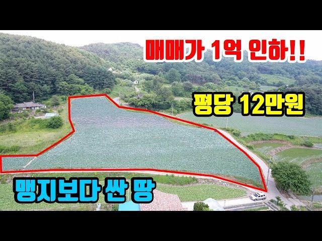 [강원도싼땅매매]  매매가 1억 인하~  ●  맹지보다 싼 평당 12만원  ●  12,688㎡ (3,838평)  ●  (8108)