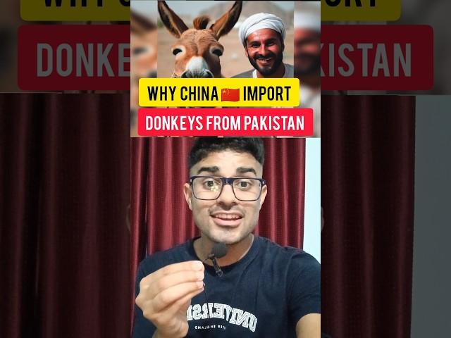 Why China Import Donkeys from Pakistan 