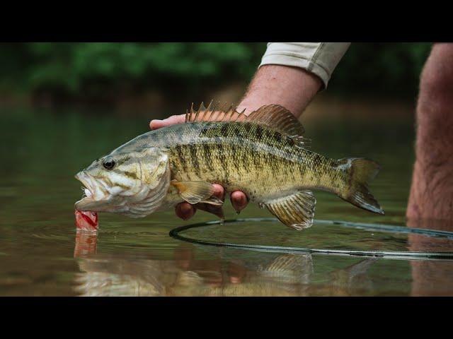 FLY FISHING for BIG River SMALLMOUTH | EPIC Bass Fishing