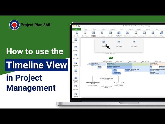 How to use the Timeline View in Project Management | Project Plan 365