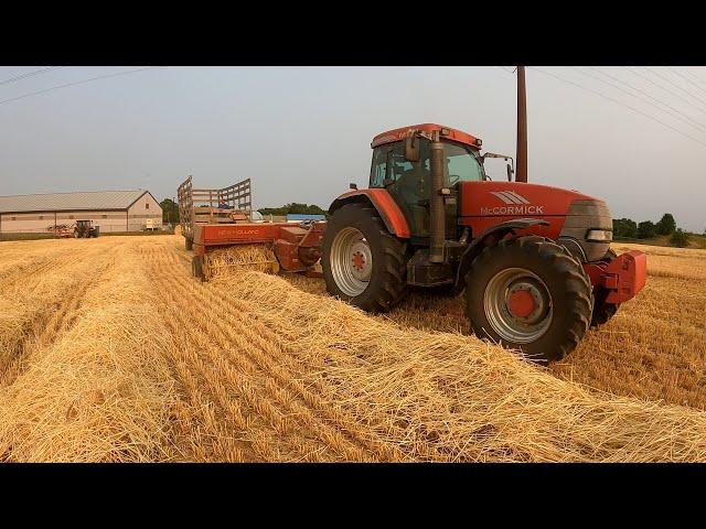 Barley, Cattle and Pulling Stuff Out