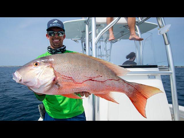 Giant Mutton Snapper, Amberjacks, Sailfish and Bull Shark