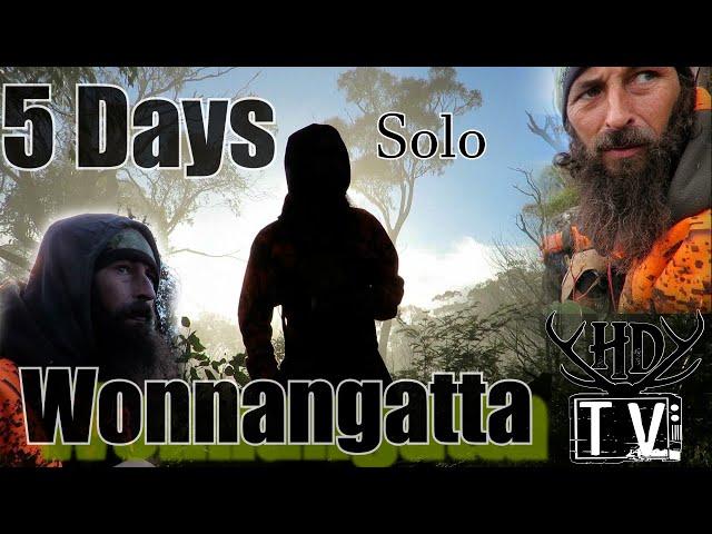 5 Days Solo in the Mysterious Wonnangatta Valley Sambar Hunting