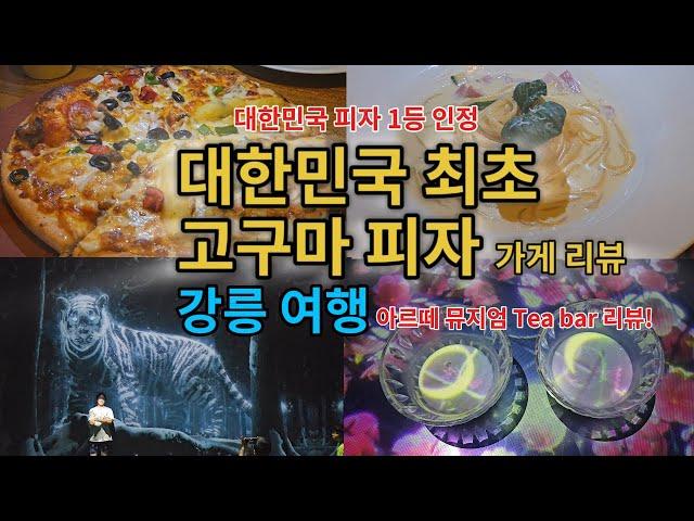 7. 대한민국 피자 1등이면서 최초 고구마 피자, 강릉 여행: 아르떼 뮤지엄 Tea bar 리뷰