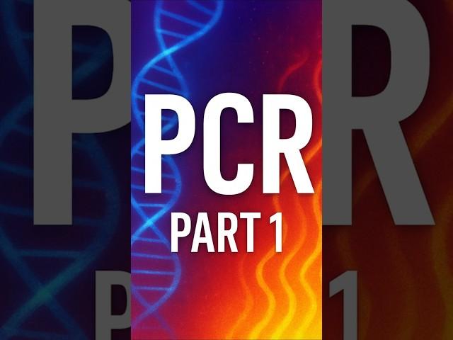 From One to a Billion: PCR Basics Explained #shortvideo #scienceshorts #pcr #dna