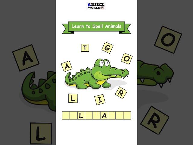 Alligator | Learn to Spell Animals #shorts #alligator