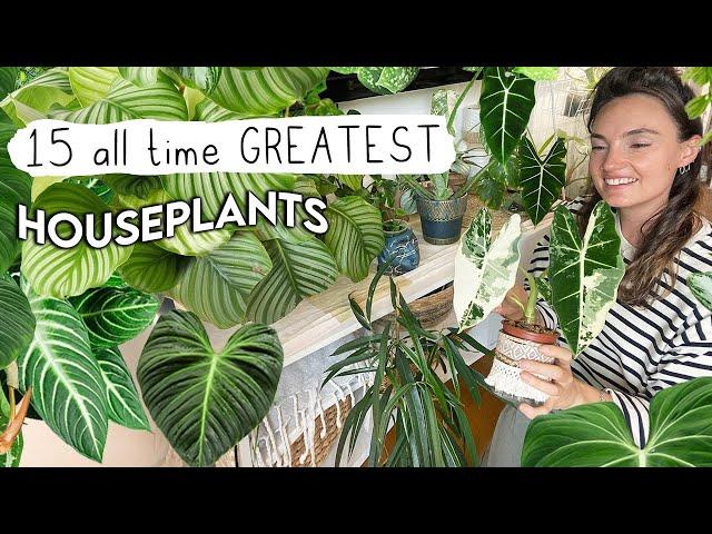 I Can Only Own 15 Plants... WHICH DO I CHOOSE?!  Top 15 Houseplants