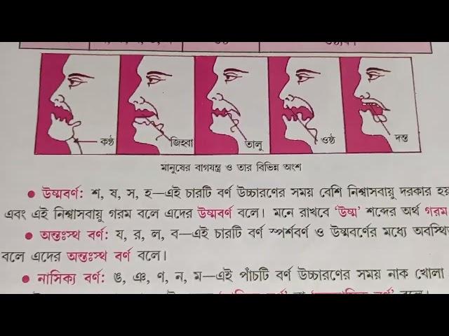 ধন্নি, বর্ণ  ---- স্বরধ্বনি, ব্যঞ্জনধ্বনি, স্বরবর্ণ ও ব্যঞ্জনবর্ণ এদের শ্রেনি বিভাগ? // #westbengal