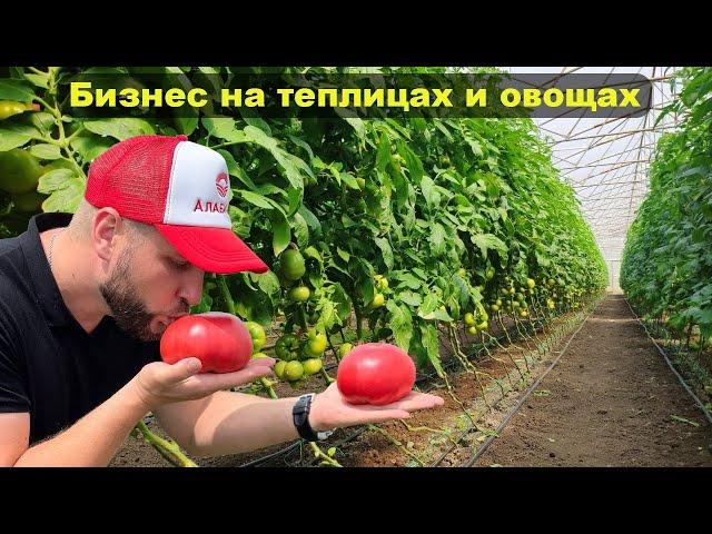 Фермерские теплицы + овощной бизнес на Кубани