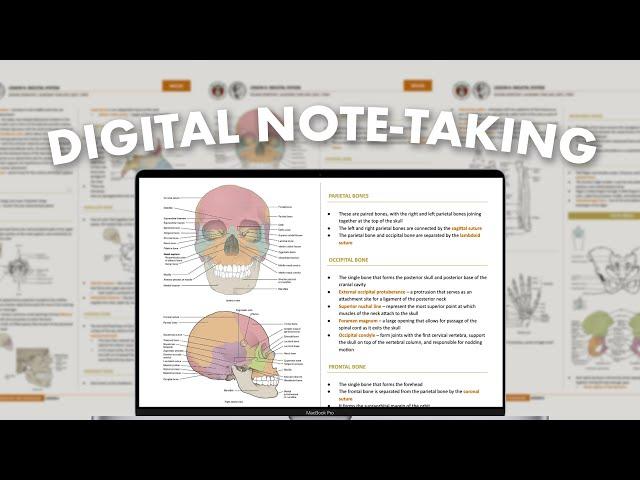 digital note-taking system pt. 1  how i take neat & effective notes on google docs