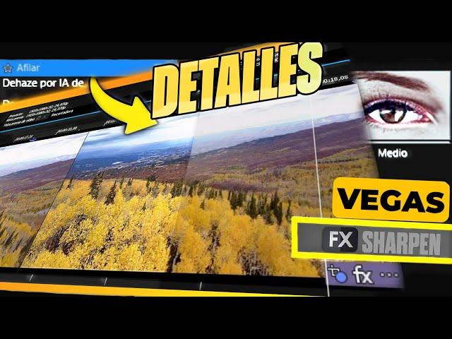 MEJORAR calidad Video con VEGAS PRO 22 Detalles y Color