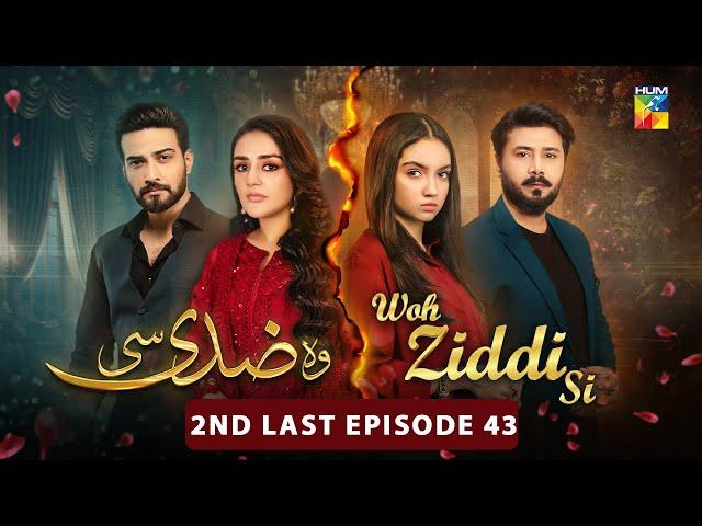 Woh Ziddi Si - 2nd Last Episode 43 - 12th Jan 2025 [ Aina Asif & Shazeal Shaukat ]  - HUM TV