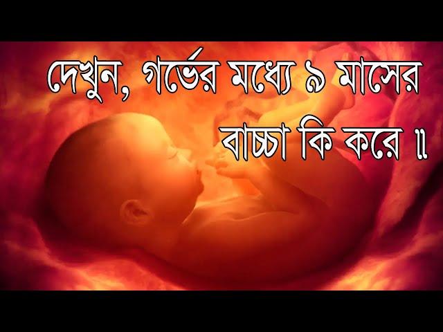 দেখুন, গর্ভের মধ্যে ৯ মাসের বাচ্চা কি করে এবং মায়েদের শরীরের পরিবর্তন।9Month During Pregnancy.